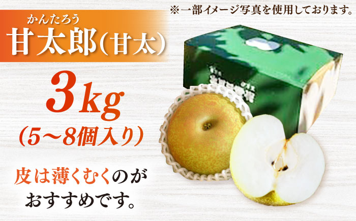 【100年続く梨農家直送】【化粧箱入り】甘太郎（甘太）5-8個入（約3kg）/ 梨 なし 伊万里梨 フルーツ 果物 / 佐賀県 / 大川三世代 [41AEAB010]