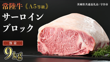 【 常陸牛 】 A5等級 サーロイン ブロック 選べる容量 9kg (茨城県共通返礼品) 国産 ステーキ 焼き肉 ブロック肉 牛肉 やきにく ヒタチギュウ ひたちぎゅう ブランド牛肉 ブランド牛 国産牛 黒毛和牛 和牛 国産黒毛和牛 お肉 A5ランク