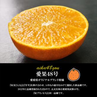 あいか 愛果48号 約 1.5kg 6玉 【2026年3月下旬から発送予定】 特選品 期間限定 愛媛県産 みかん 柑橘 希望の島