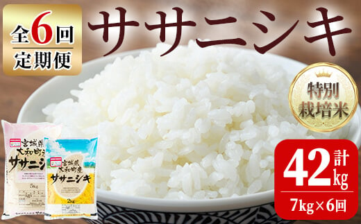 【令和6年産】＜６か月定期便＞特別栽培米 ササニシキ 42kg  ta250【若木の里】