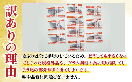 訳あり 塩ぶり  [A-024012] 切り身 天然ブリ 雑煮 おせち 下味冷凍 長期保存 おかず お弁当 1人暮らし 岩塩 塩焼き ギフト お祝い 出世魚 滑川市 富山県 とと屋