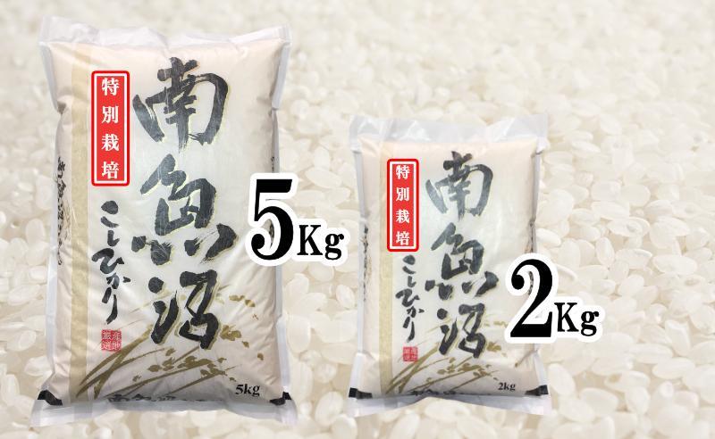 【令和7年産】特別栽培 生産者限定 南魚沼しおざわ産コシヒカリ20Kg【2025年10月上旬より順次発送予定】