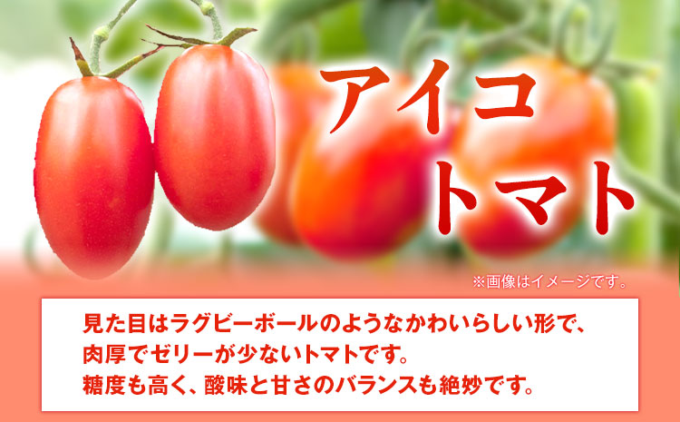 【先行予約】 和歌山産 ミニトマト アイコトマト 約2kg SまたはMサイズ サイズおまかせ 厳選館 《2026年1月上旬-2月中旬頃出荷》 和歌山県 日高川町 トマト とまと アイコトマト 送料無料