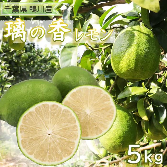 【鴨川の柑橘】まろやかな酸味とたっぷり果汁『璃の香レモン』５kg 《10月より発送開始》《数量限定》《先行予約》ちばエコ農産物 りのか リノカ 国産レモン 旬の柑橘 レモン 薄皮 草生栽培 低農薬 除草剤不使用 鴨川産 千葉県産 [安田園芸][0011-0085]