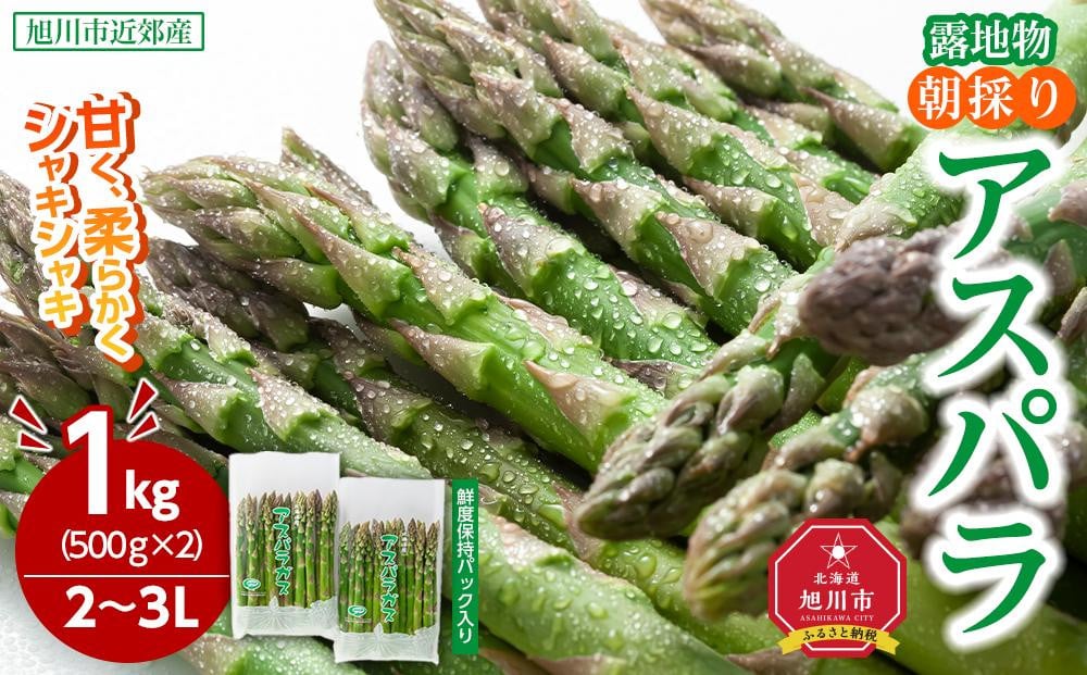 
            【2026年先行予約】露地物朝採りアスパラ　鮮度保持フィルム入り　2～3L　500g×2　合計1kg(5月中旬発送開始予定) 【 アスパラ アスパラガス 朝採り とれたて 野菜 旬 小分け 保存 産直 産地直送 お取り寄せ 旭川市 北海道 】_03817
          