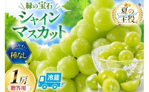 【2026年発送】 シャインマスカット 先行予約 贈答用 1房 600g 以上 [REGALO 山梨県 韮崎市 20745495] シャイン マスカット ブドウ ぶどう 葡萄 フルーツ 果物 くだもの  旬 山梨 ギフト 贈り物 フルーツギフト 贅沢 ご褒美 ふるさと納税