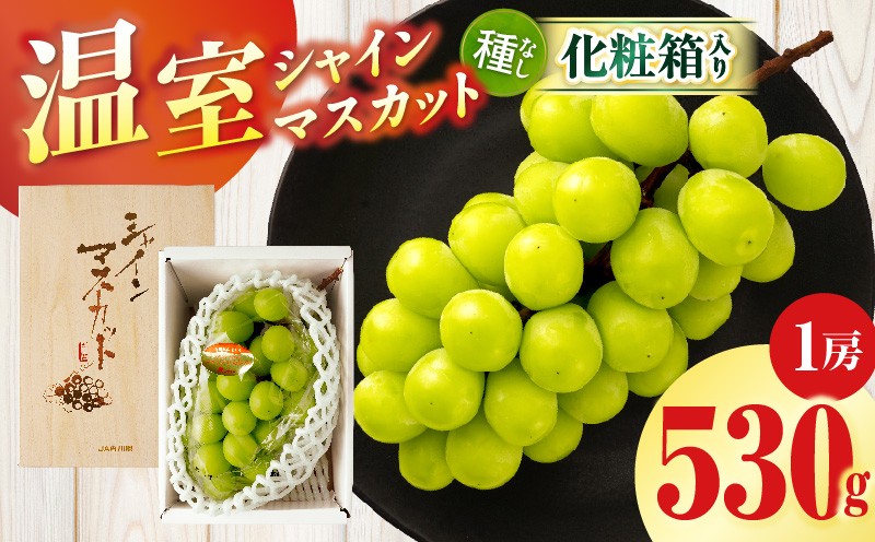 
                  【先行受付】温室シャインマスカット 1房化粧箱入り(530g以上) | マスカット ハウス ぶどう ブドウ 葡萄 果物 フルーツ 人気 香川 香川県 三木町 種なし 皮ごと食べられる ジューシー 化粧箱 旬 おすすめ |_mk006-104
                