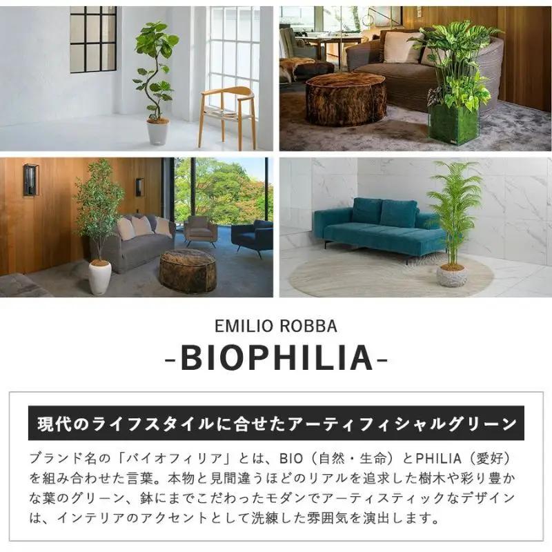 クーポン 商品券 エミリオ・ロバ 10000円 クーポン