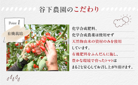 大玉トマト 約 2kg（サイズ混合）【61-6】≪谷下農園 有機JAS認証農園の完熟トマト≫