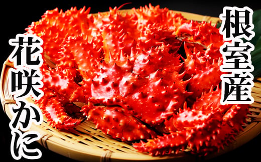 B-70015 【北海道根室産】花咲かに400g前後～500g前後×4尾