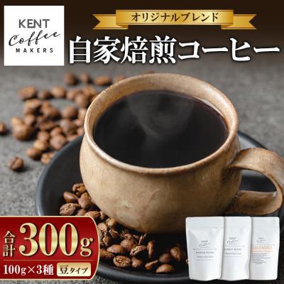 ふるさと納税 いちき串木野市 コーヒー 3種 詰め合わせ 豆 ブレンドコーヒー 2種+季節のコーヒー 1種 のセット 自家焙煎