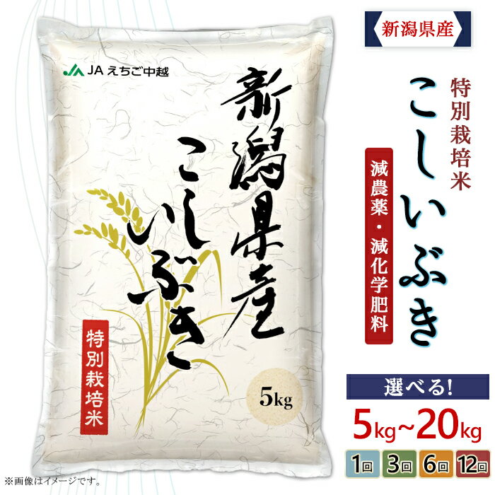 【ふるさと納税】米 定期便 令和7年 新潟 こしいぶき 選べる 5kg 10kg 20kg 1回 3回 6回 12回 3ヶ月 6ヶ月 12ヶ月 特別栽培米 選べる発送時期 選べる容量 選べる配送回数 選べる 発送時期が選べる お米 JA直送 農協（えちご中越農業協同組合）（クラウドファンディング対象）
