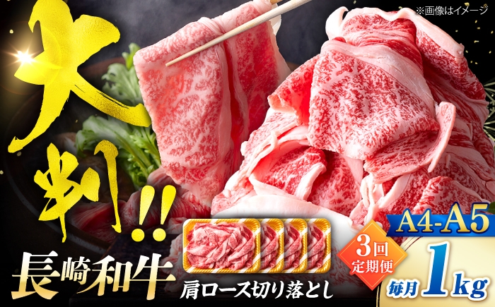 
                  【3回定期便】艶さし！【A4～A5】長崎和牛大判霜降り贅沢切り落とし 計1kg（250g×4パック）＜株式会社MEAT PLUS＞ [CFT079]
                