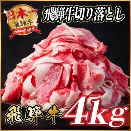 飛騨牛　切り落とし　約4kg(約500g×8)【冷蔵便】訳あり_肉  牛肉 _【配送不可地域：離島】【1531527】