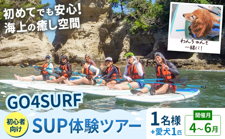 初心者向けSUP体験ツアー 1名様＋愛犬1匹 4-6月 GO4SURF《30日以内に出荷予定(土日祝除く)》千葉県 勝浦市 マリンアクティビティ体験 マリンスポーツ 海 SUP サップ 愛犬 わんちゃん 初心者向け 初心者 体験 6歳から可能
