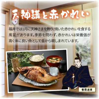 ふるさと納税 福井市 丸ごと1尾焼き上げた福井名物 串焼き赤かれい 2本 |  | 01