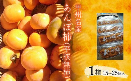 ＜2026年11月下旬以降発送先行予約＞甲州名産　あんぽ柿（平核無柿） ALPCM008