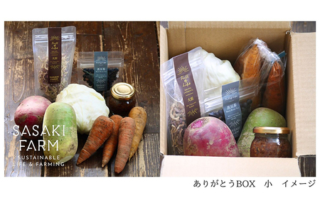旬の野菜詰め合わせ ～ありがとうBOX2026・小～ 12月1日～1月31日頃お届け 先行予約 北海道 野菜 やさい 詰め合わせ セット 北海道産 常備菜 加工品 自然栽培 佐々木ファーム 産地直送 