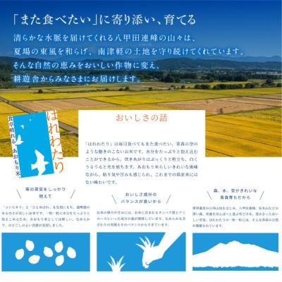ふるさと納税 青森市 【先行予約受付】令和8年　青森県産はれわたり　玄米10kg　彩北米 |  | 03