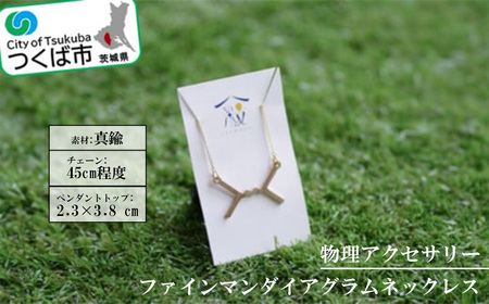 物理アクセサリー「ファインマンダイアグラムネックレス」【1413562】