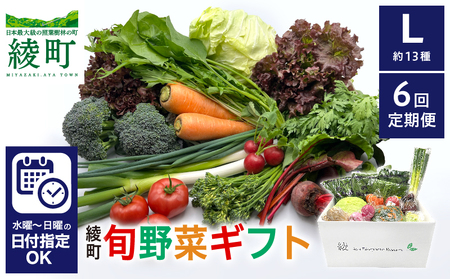 【６回定期便】綾町旬野菜ギフト（Lサイズ / 約13種）4人以上分 / 産地直送 野菜セット 野菜詰め合わせ 定期便 新鮮野菜 野菜 定期便 有機栽培 採れたて 野菜 定期便 送料無料 【オーガニックのまち 宮崎県綾町】