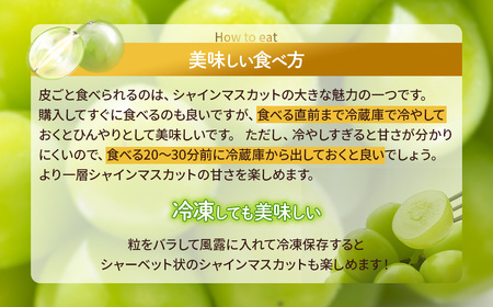 【先行予約2025年/令和7年発送分】種なしピオーネ 約2㎏ 甲斐市 国産 くだもの 葡萄 ブドウ 黒ぶどう 家庭用 自家用 贈答用 ギフト プレゼント お供え お見舞い お中元 御中元 暑中見舞い 