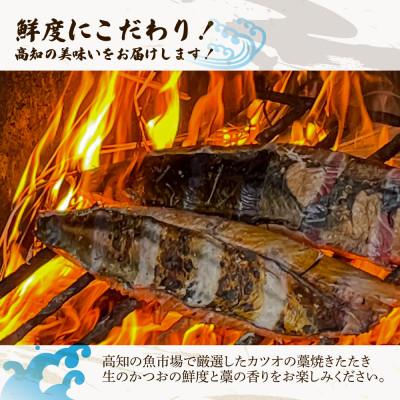 ふるさと納税 土佐市 生 鰹の藁焼きたたきお試しセット(タレ・薬味付き) |  | 01