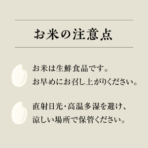 【新米・予約】【白米】令和6年産 鳥取県産コシヒカリ 20kg 米 お米 こめ コメ 精米 日南町精米 鳥取県日南町