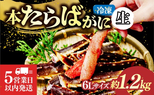 生たらばがに脚 6L×1肩(約1.2kg) 【5営業日以内配送】｜カニ かに 蟹 本たらば蟹 たらばがに たらば蟹 タラバ蟹 たらば タラバ ボイル 訳あり 6L 海鮮 特大 ボイル ひたちなか市 茨城県