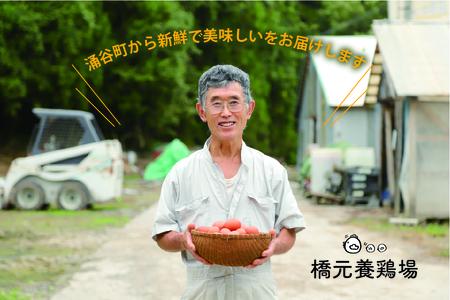 卵 たまご 産みたて新鮮卵 30個入り ※二黄卵3個以上入り！ | 卵 たまご 玉子 鶏卵 新鮮 濃厚 生卵 赤玉たまご 目玉焼き オムレツ 健康 産地直送 人気 二黄卵 卵 ※沖縄・離島への配送不可【aubless003】