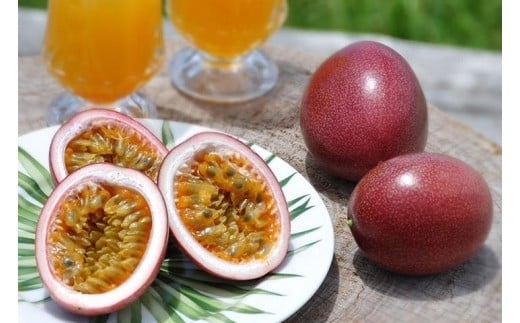 
            【2026年発送分 先行受付】パッションフルーツ 化粧箱12個入り(L玉)×10箱【たけはら農園】｜果物 パッション フルーツ 酸味 甘み プチプチ 瀬戸内町 奄美 鹿児島 美味しい 旬 南の島 世界自然遺産 果樹 島
          