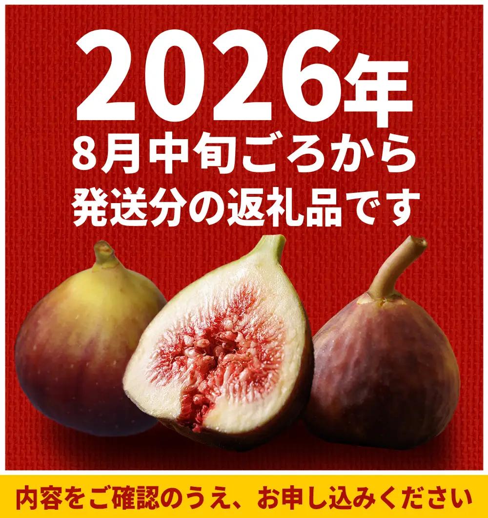 福岡県ブランド いちじく 「とよみつひめ」約1.2ｋｇ(約300ｇ×4パック)  | 無花果 イチジク 美容 ジャム 旬 果物 フルーツ 生 旬 朝ごはん 朝食 デザート お取り寄せ 送料無料 福岡県