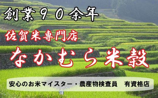 A-148【１等米限定 令和５年産】鹿島市産厳選さがびより 白米 ４kg（２kg×２袋）