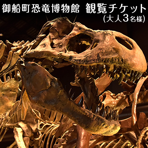 熊本県御船町 熊本県御船町恐竜博物館観覧チケット（大人3名様） 《30日以内に出荷予定(土日祝除く)》 熊本県御船町恐竜博物館