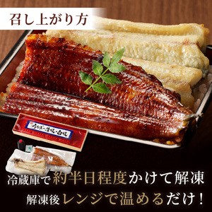 うなぎ【土用の丑の日までに届く！】うなぎの食べ比べセット2～3人前【蒲焼き・白焼きそれぞれ1/2尾】