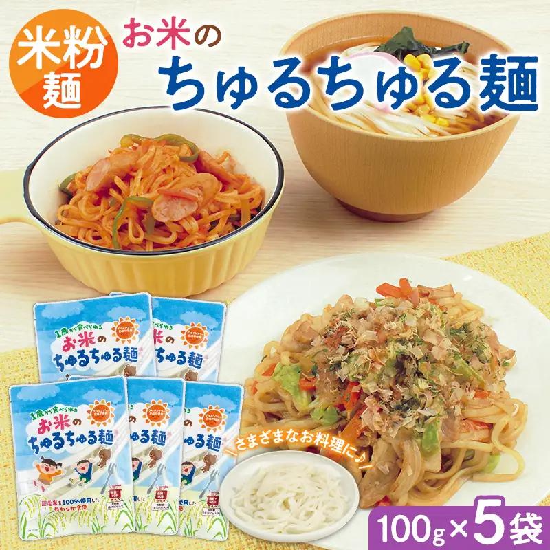【米粉麺】お米のちゅるちゅる麺 100g×5袋 FY26-112