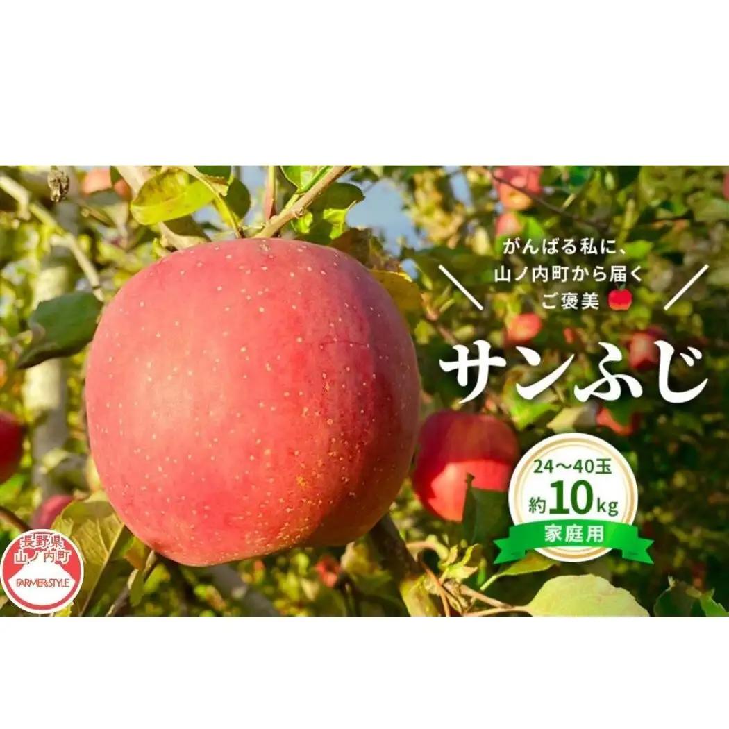 りんご 私のサンふじ 家庭用 10kg りんご