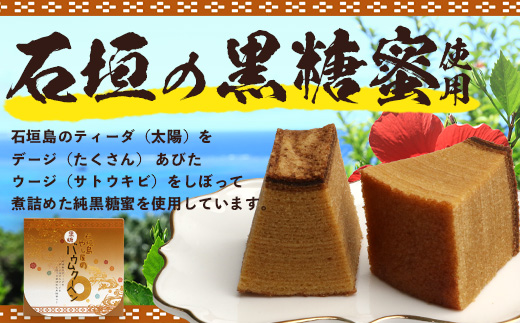 石垣島 やし屋手作り 石垣の塩バウムクーヘン×1箱 ＆ 黒糖バウムクーヘン×1箱（合計2箱）　YA-3