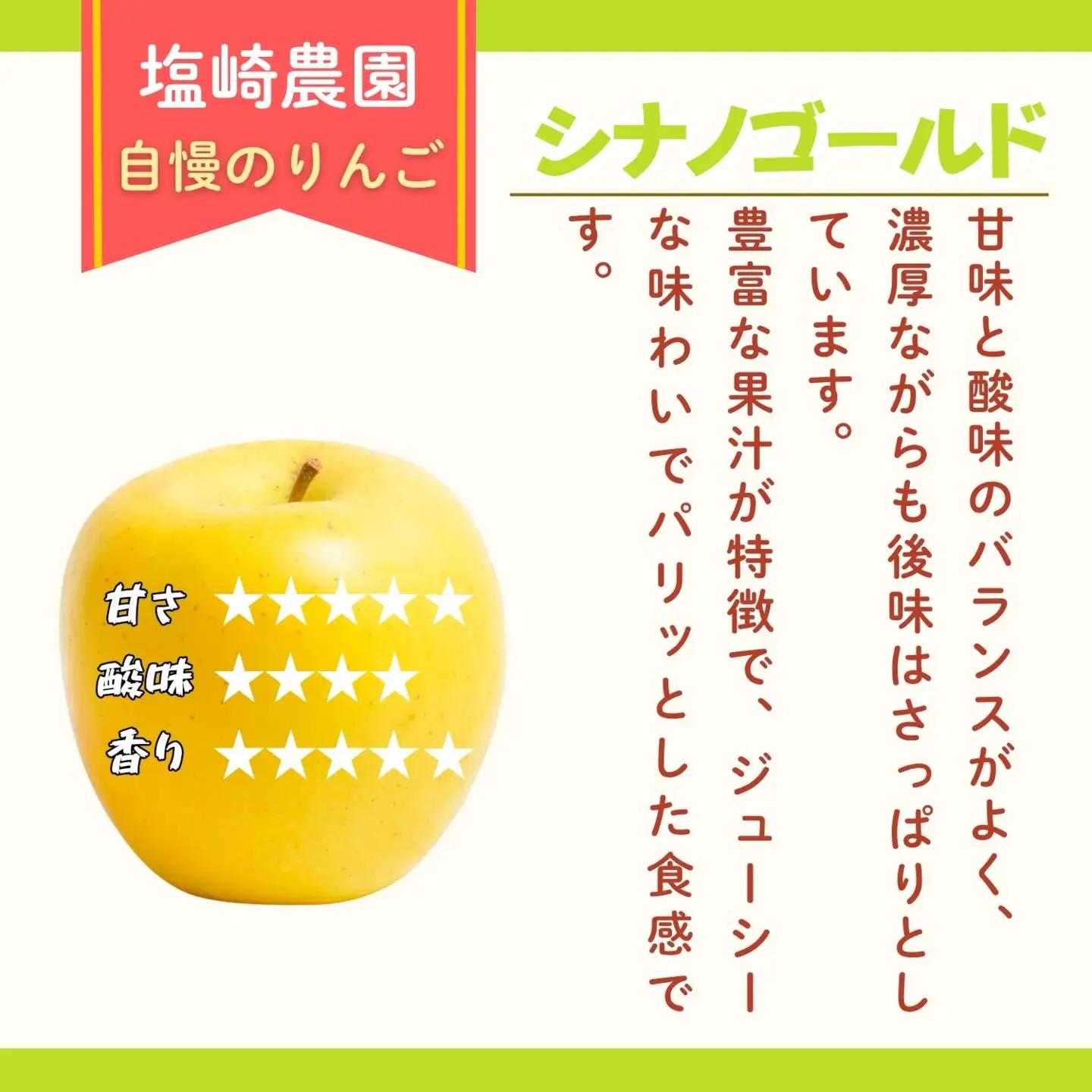 【訳あり】 りんご シナノゴールド 約5kg（11～20玉）【2026年10月下旬より発送 先行予約】At-024