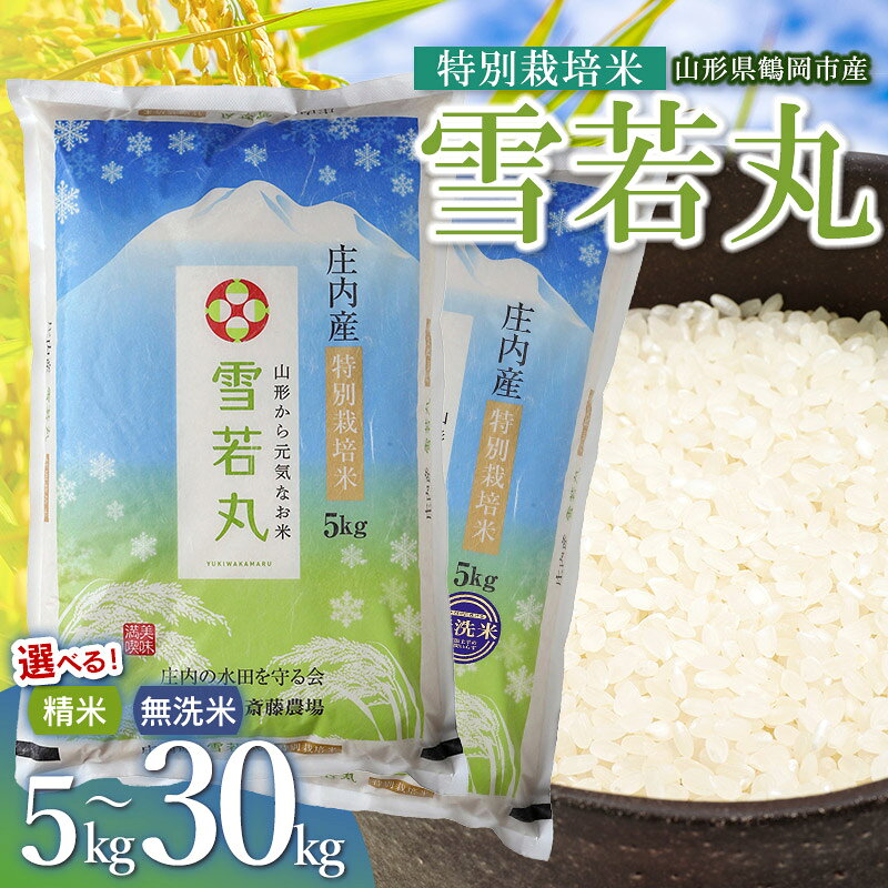 【ふるさと納税】令和8年産 新米 斎藤農場の特別栽培米 雪若丸 容量・精米種類お選びください ［5・10・15・20・30kg］［精米・無洗米］ 山形県鶴岡市産 K-840・K-881・K-8120・K-8165・K-8240
