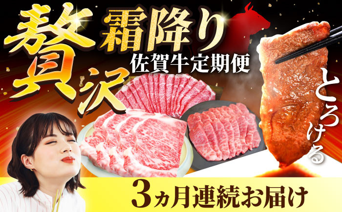 
            【牧場直送】【3回定期便】佐賀牛 贅沢 霜降り 定期便【佐賀セントラル牧場】佐賀県産 牛肉 お肉 肉 霜降り 国産 九州 佐賀県 白石町 [IAH086]
          