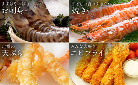 陸上養殖 車エビ 東山陸上養殖研究所 大サイズ（木箱入り） 約200g （5~10尾）《冬発送（12月上旬～1月中旬頃出荷）》岡山県 笠岡市 送料無料 えび 海老 車えび 車海老 海産物 魚 刺身 天