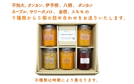 みかん農家坂元さんちの手作りジャム5個セット(無添加・無着色・無香料) (坂元果樹園/010-488) ミカン ジャム マーマレード ママレード 手づくり 農家 いぶすき しらぬい ポンカン タンカン