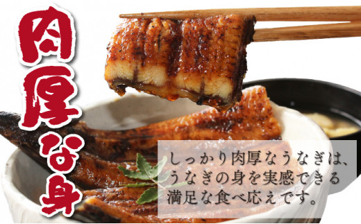 特大くしまの黒潮うなぎ蒲焼2尾（合計500g前後）_K023-007