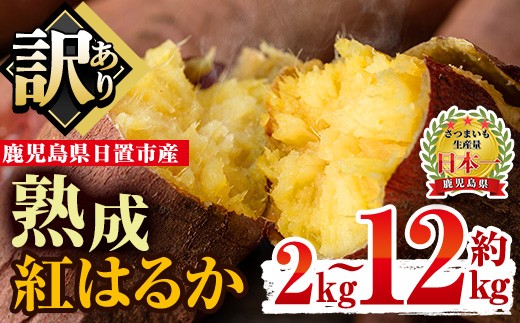 
                  No.560 ＜容量選べる！＞訳あり・不揃い！鹿児島県日置市産さつまいも！熟成紅はるか(約2kg～約12kg) 国産 九州産 サツマイモ さつま芋 訳アリ 紅春香 熟成 芋 焼き芋 やきいも 野菜 スイーツ 常温 常温保存 期間限定【末永商店】
                