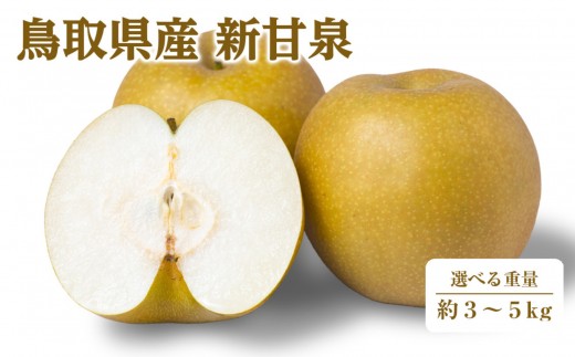 
                  ＜数量限定＞＜2026年8月下旬以降順次発送予定＞＜選べる重量＞鳥取県産新甘泉(約3～5kg) 【鳥取県 境港市】
                