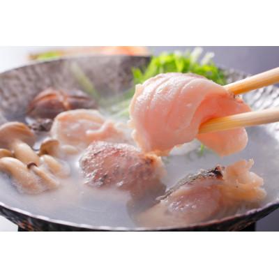 ふるさと納税 佐世保市 よか魚長崎産天然クエ鍋とクエ刺身