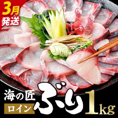 ふるさと納税 佐伯市 <先行予約受付中!2027年3月以降順次発送予定!>海の匠 ブリ スキンレスロイン (1kg)