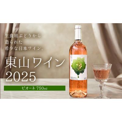 ふるさと納税 笠岡市 東山ワイン2025 750ml ピオーネ 東山農園《30日以内に出荷予定(土日祝除く)》 |  | 01