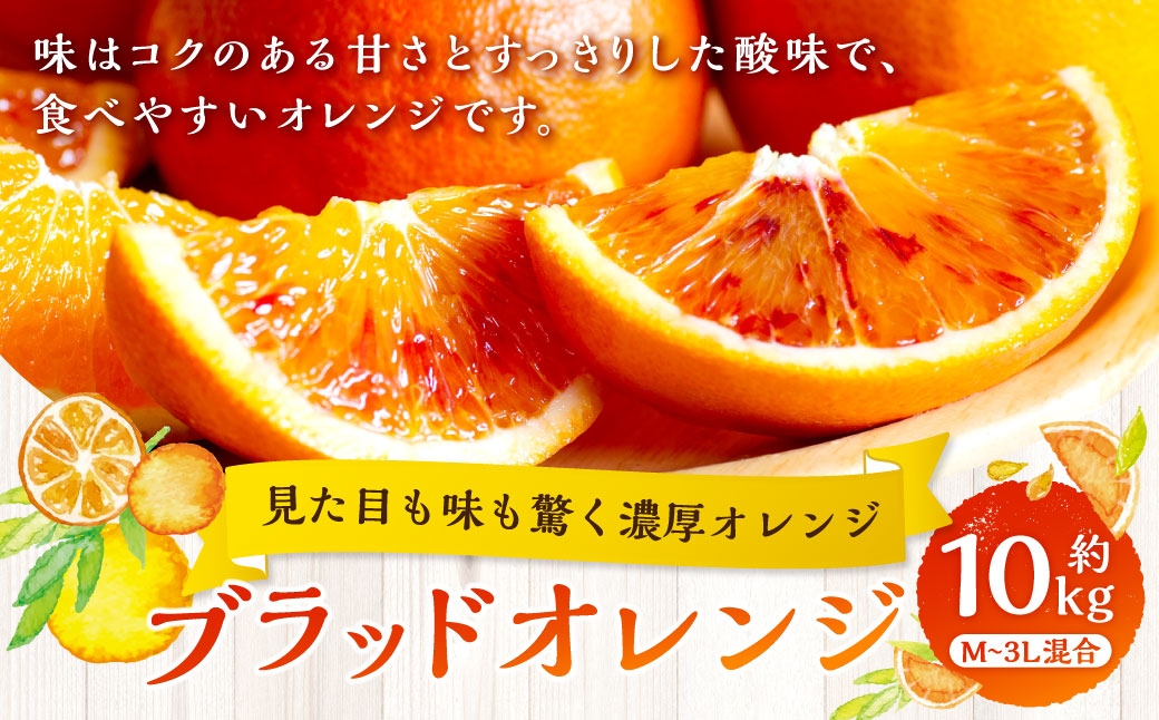 
                  【 見た目も味も驚く濃厚オレンジ 】 ブラッドオレンジ 約10kg オレンジ おれんじ 柑橘 柑橘系 柑橘類 みかん ミカン くだもの 果物 フルーツ 果実 果汁 果肉 国産 愛媛県産 【 2027年2月下旬～4月上旬発送予定 】 ( 1072 )
                